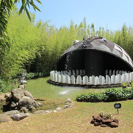 Querce  Ulivo Della Querce 빌라 외부 사진